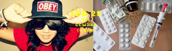 PSILOCYBIN Белоозёрский