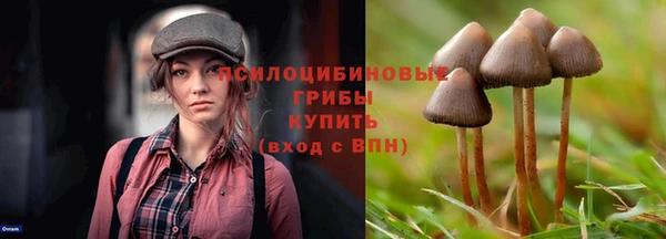 a pvp Беломорск