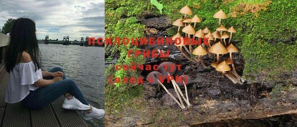 PSILOCYBIN Белоозёрский