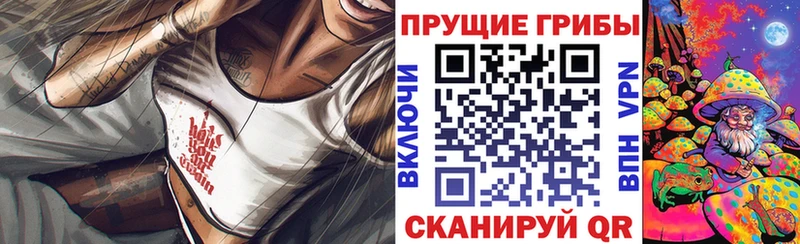 цены наркотик  ссылка на мегу вход  Псилоцибиновые грибы ЛСД  Вельск 